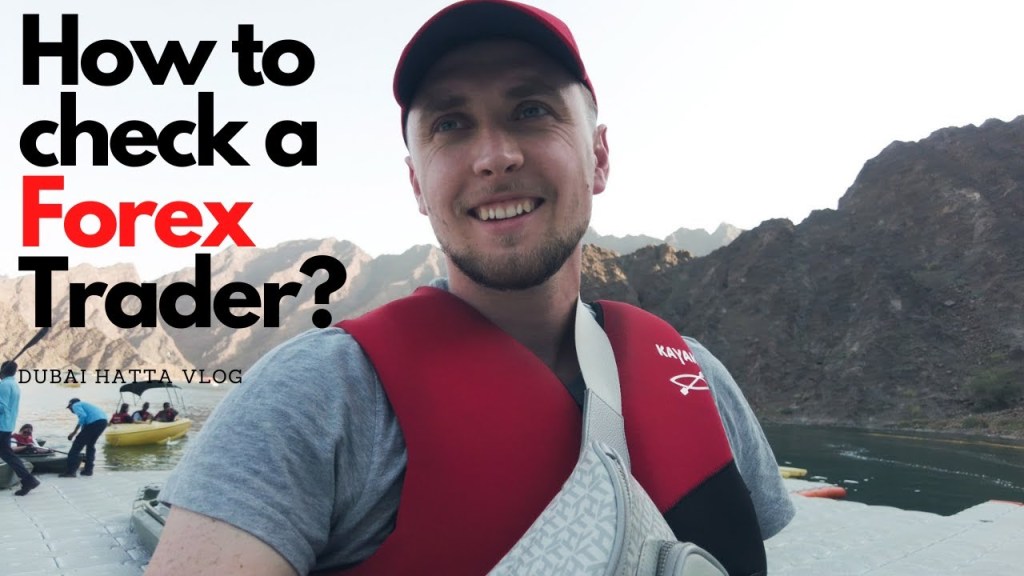 How to check which Forex trader, signals providers, robots are good and which ones are not?